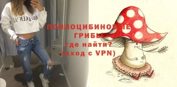 гашик Балабаново