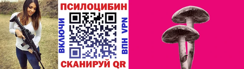 Псилоцибиновые грибы MAGIC MUSHROOMS  darknet наркотические препараты  Славгород 